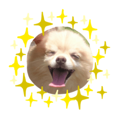 colonalbum