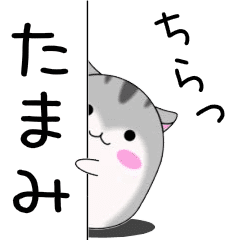 Move! Tamami designated name Sticker