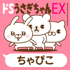 Stickers for moving "CHAPIKO"
