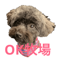 Aoi_20190621205630