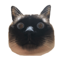 CHIE_20190622210654