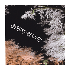 kazuki_20190615121216