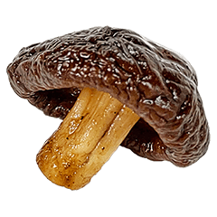 Mushroom_!