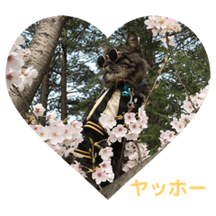 ebi_20190615202251