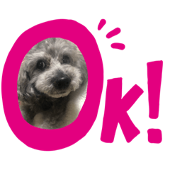 Alice for a daily use 02