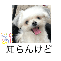 ayumi_20190621232144