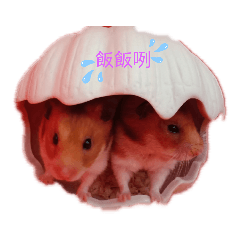 鼠寶貝（萌萌與努努）ฅ'ω'ฅ