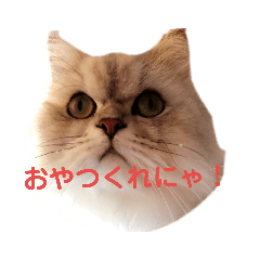 Kero_20190621235036