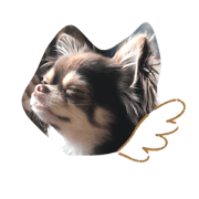 magrus_20190622030036