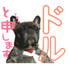 It is dol of a French bulldog.