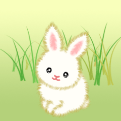 Baby rabbit in the grass