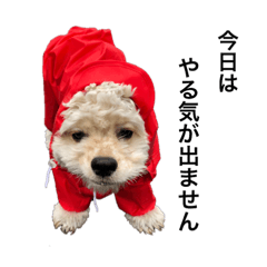 Akane_20190621082807