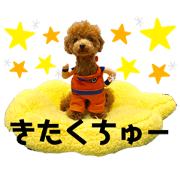 okb32_20190622134904
