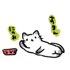 Pointed color Cat "喵喵"