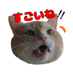保護猫さんスタンプ【vol.3】