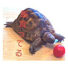 RIKU_20190622175959