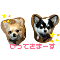 Tanaka's family Dogs