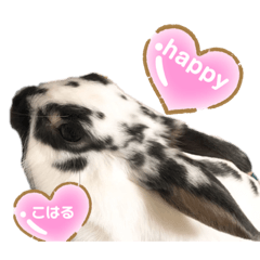haruru_20190622231911