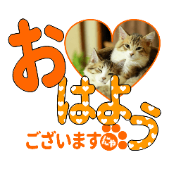 少し丁寧な言葉 デカ文字 猫スタンプ