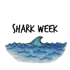 Shark Week 