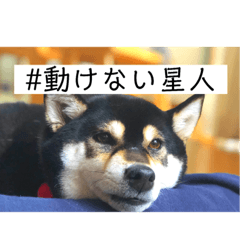 saitoserina_20190623114351