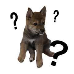 akane_20190623124941