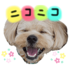 natsumi_20190622224657