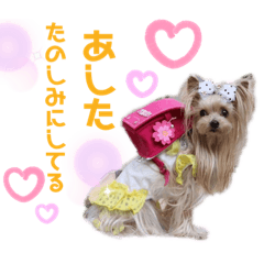 aran_20190623183339