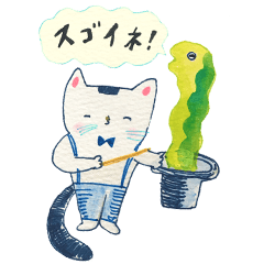 Fumikoten's cat