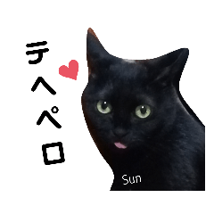 Black cat Sticker Moon and Sun