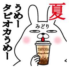 Sticker gift to midori rabbit boo summer