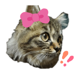 maron_20190623215530