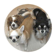 hoto.burton.ranchan 2