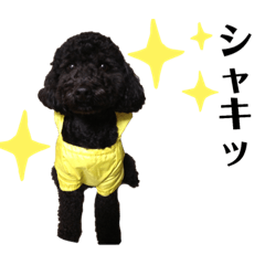 Tom and his friends7