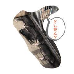じんくんスタンプです。3個目です。