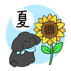 Black Toy Poo! summer