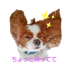 Bubu_0214