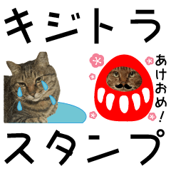 Photograph Sticker of brown tabby cat