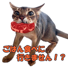 カリモの猫スタンプ アビシニアン 2