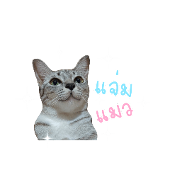 เจ้านายจอมเหวี่ยง