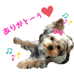 aran_20190624130638