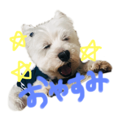 sayuri_20190623050932165