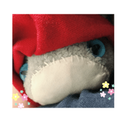 ton_memeko