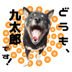 It is the idol Shiba Inoue Kyutaro )!