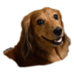 natsumi_20190624173833