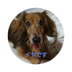 Junjun_20190624184432