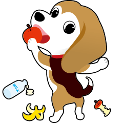 Beagle Charly