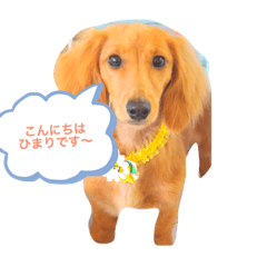 hona_20190624004805