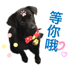 咪妮咪妮