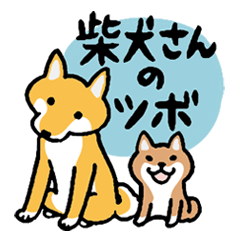 柴犬さんのツボ vol.5 オトナの気づかい編